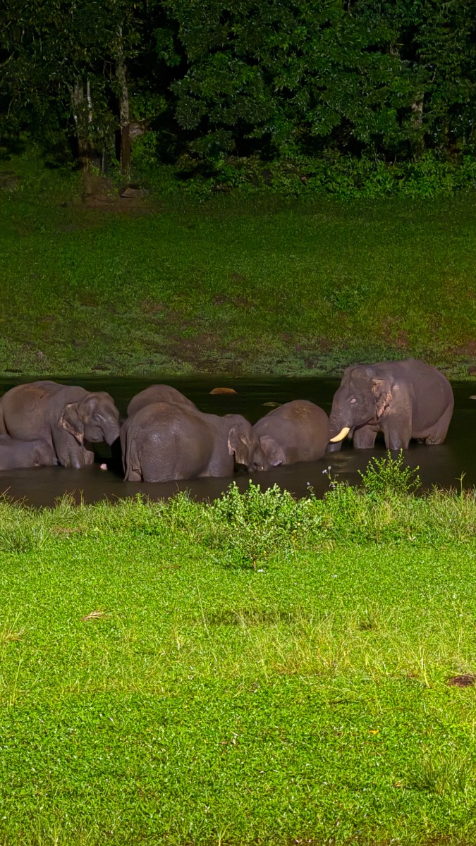 Munnar Vattavada